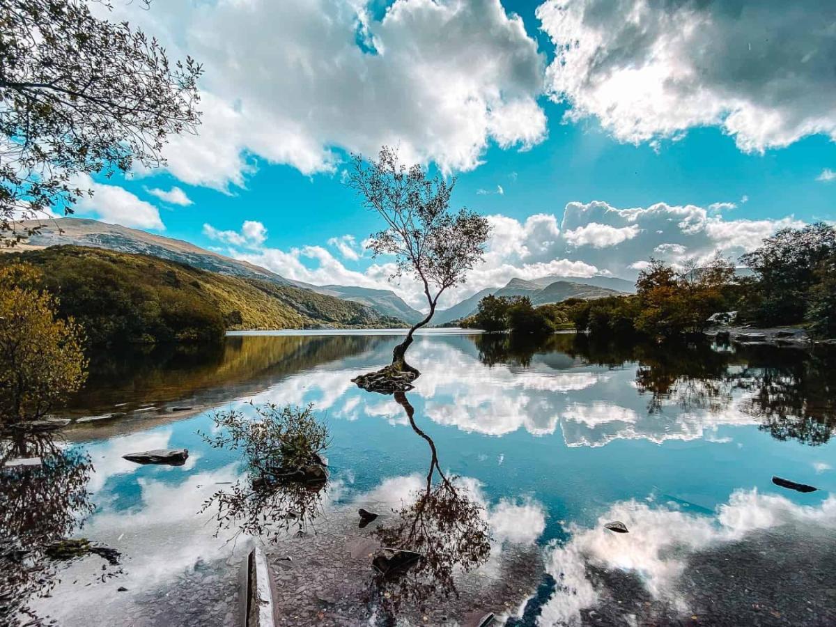 란베리스 Prime Location For Snowdon, Family And Dog Friendly! 빌라 외부 사진
